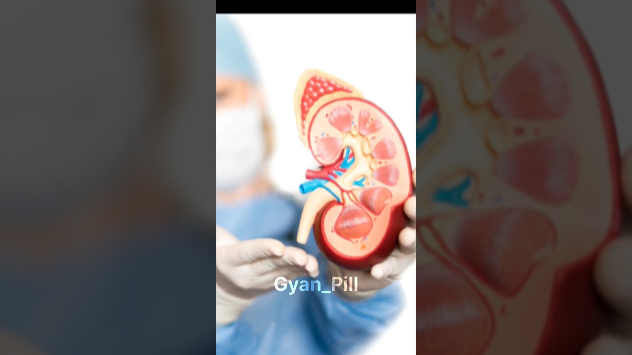 Kidney Failure का आयुर्वेदिक उपचार 😱 