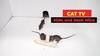 Cat TV  Mice for Cats to Watch with Sound