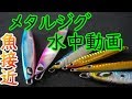 メタルジグの動き 魚も気になって・・・ 水中動画カヤックフィッシング