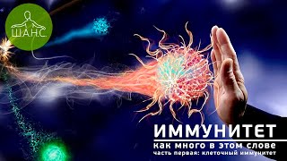 Иммунитет.Часть 1. Клеточный иммунитет.