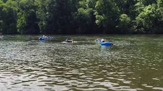 Come Float With us!