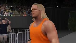Wwe 2k16  Superstar Steve Austin entrance Signature Finisher