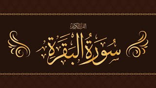 SURAH AL BAQARAH FULL (سورة البقره) HEART TOUCHING RECITATION #surahalbaqarah #alibhaii56 #foryou