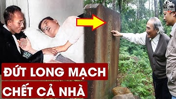 Bí Ẩn 3 Lần Đứt Long Mạch Ngôi Mộ Tổ Nhà NGÔ ĐÌNH DIỆM Khiến Cả Gia Tộc Điêu Tàn