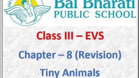 III EVS Chapter 8 Tiny Animals Revision Part 3