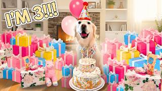 I Gave My Dog The BEST Birthday Ever!