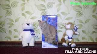 Кот Кеша - Талисман Олимпийских игр в Сочи 2014 / funny cats Кот Кеша - Талисман Олимпийских игр в Сочи 2014 / funny cats