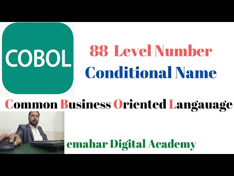 88 Level Number|COBOL