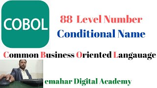 88 Level Number|COBOL