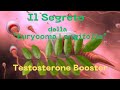 Scopri i Benefici dell'Eurycoma Longifolia nell'Ipogonadismo Maschile e Aumento del Testosterone"