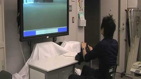 ロボカーを用いた実験映像　（1）運転者側　（首都大学東京・山口教授）