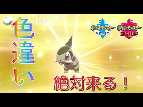 ソードシールド キバゴの種族値 わざ 特性など能力と入手方法 ポケモン剣盾 攻略大百科