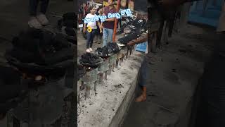 ఫమస పలకలల దబబ రటట రత కయటన