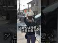 アヒルの移動