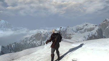 [BUG] Witcher 3 - Animation Genius