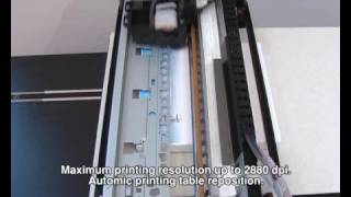 AZON MICRO 2000