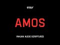 Amos All Chapters