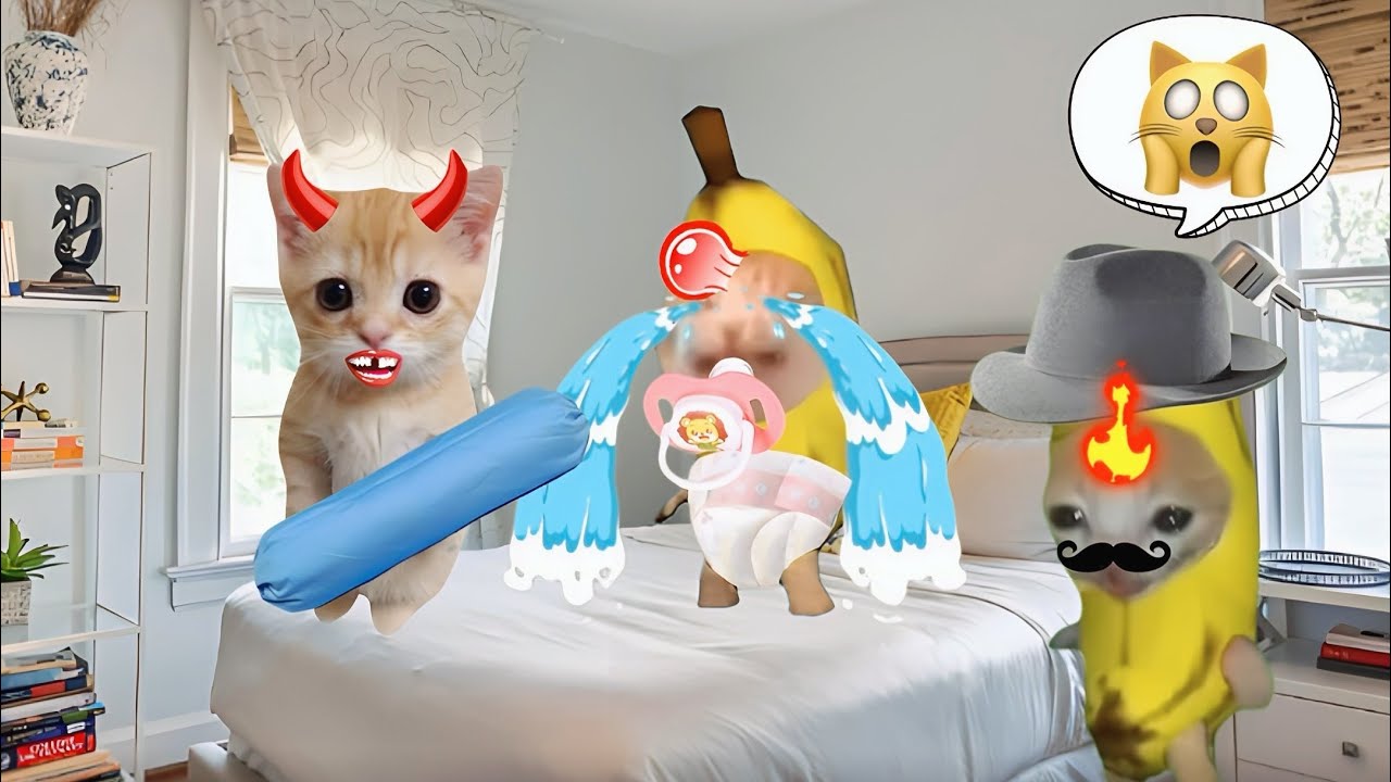 Банановый кот плачет недовольно, подборка 76 