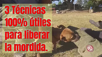 ¿Cómo se consigue que un perro suelte un mordisco?