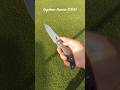 This Spyder BITES #spydercoknives #spyderco #edc #youtubeshorts #shorts #youtubeshort