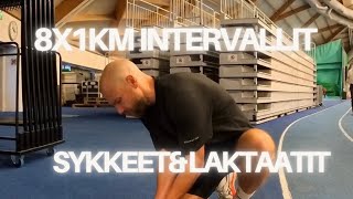 8X1Km Intervallivallit Lämppärutiinit Laktaatit Paljastavat Todellisen Kunnon