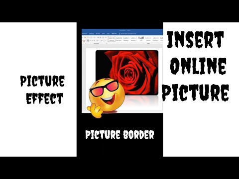 Insert Online Picture