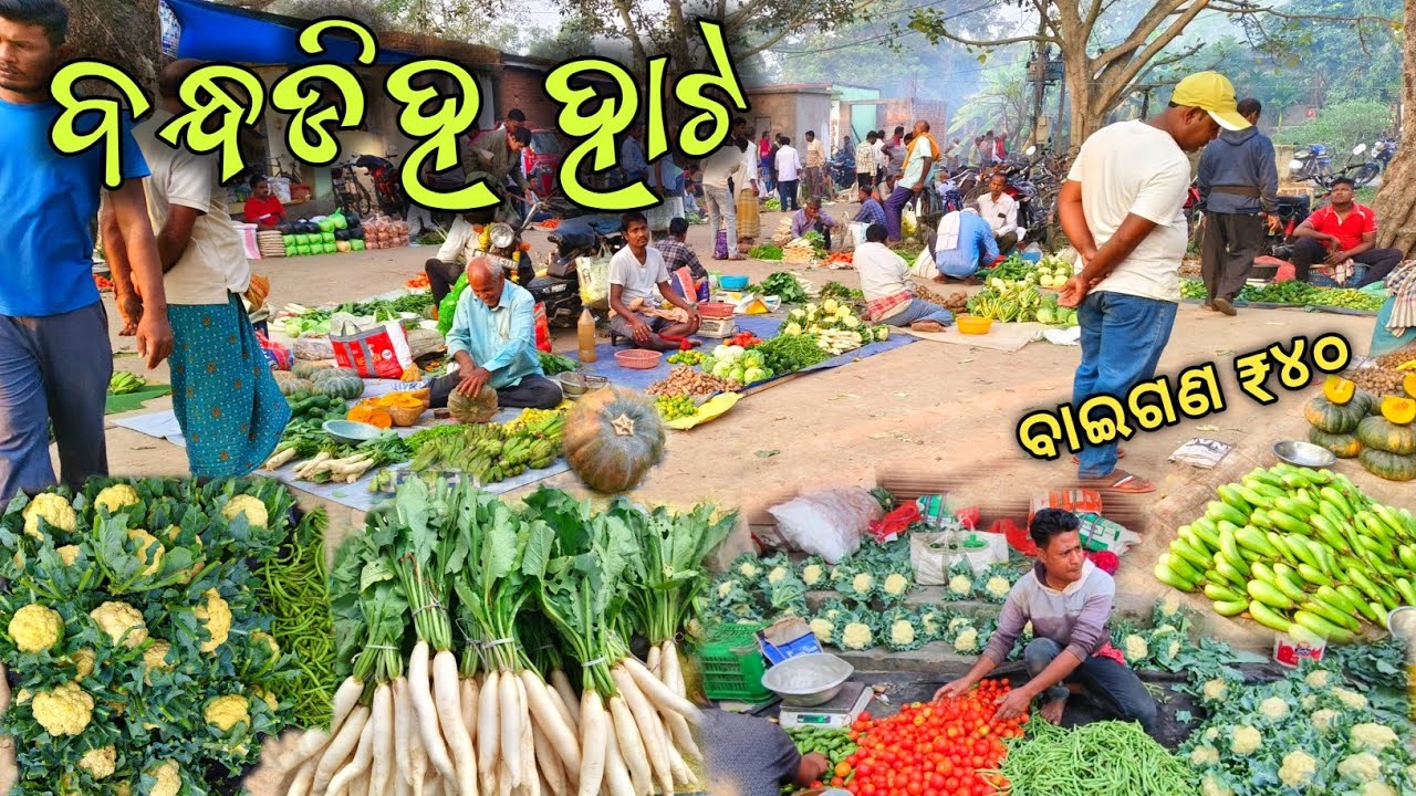 ବାଇଗଣ Kg ₹୪୦ ଟଙ୍କା ବନ୍ଧ ଡିହ ହାଟ ରେ ।। Bandha diha hata ।। Jajpur bandha diha hata vlog ।। 