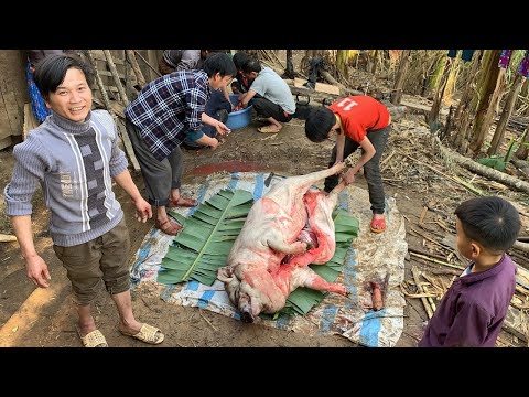 Thôn Ha Cá M.ổ Lợn Đen Khủng Ăn Tết Sớm Mừng Đường Bê Tông Mới
