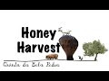 Bela Pedra, my Portuguese Farm: Part 44 (Honey Harvest)