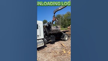 UNLOADING LOGS #logs #sawmill #heavyequipment #truck #logs #loggingtruck
