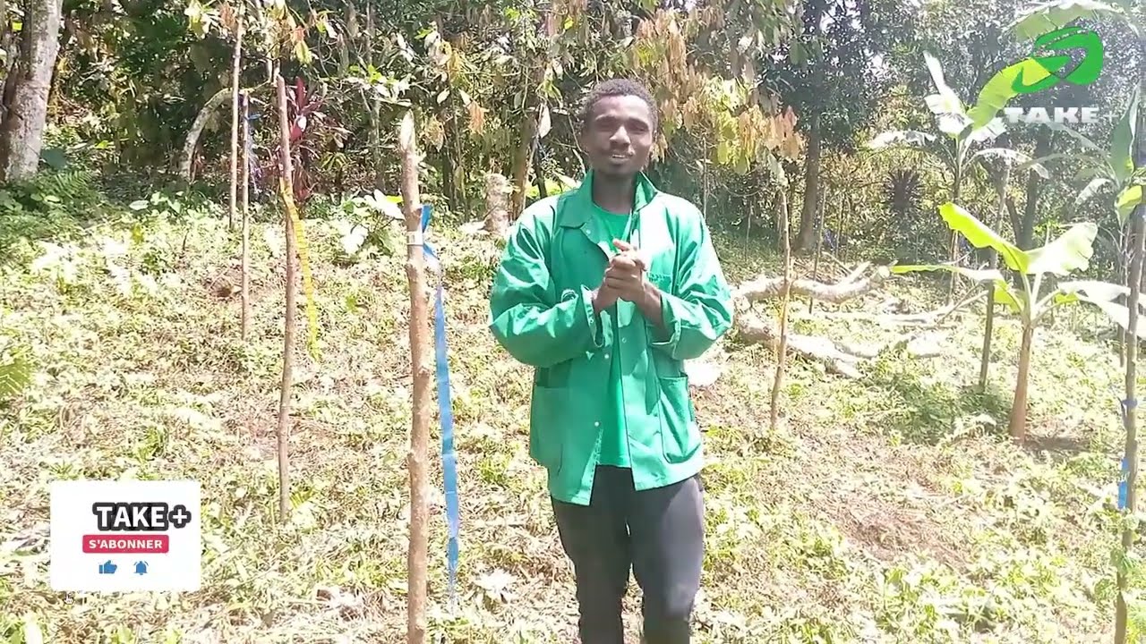 Comment faire le PIQUETAGE DES TUTEURS  POUR LA CULTURE DE POIVRE BLANC? #secrets #technique