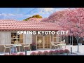 Spring in Kyoto city / Outdoor morning coffee shop ambience / Bossa nova jazz music for work, study