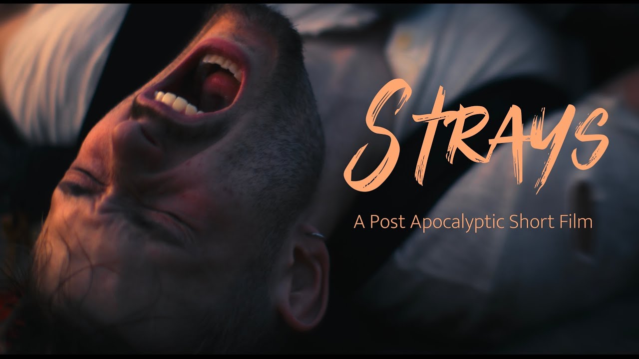 STRAYS | A Post-Apocalyptic Short Film (2024) - YouTube