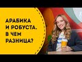 Кофе Арабика и Робуста. В чем разница?