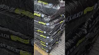 " Why COLORED MULCH May NOT Be Your BEST CHOICE For YOUR LANDSCAPE.. 🌿"