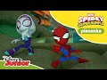 🎶 Sieci | Spidey i Super-Kumple | Disney Junior Polska