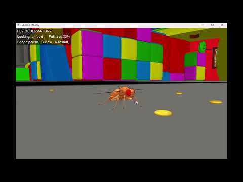 The Amazing Digital Fly