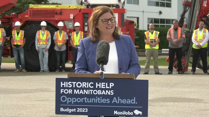 Critical Minerals Strategy announcement