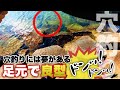 【穴釣り】穴釣りには夢がある！晩秋の穴釣りでデカい根魚がドン！ドン！と連発しました。