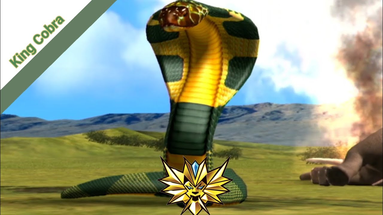 maxresdefault.jpg