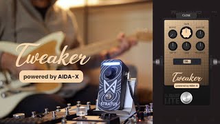 Tweaker Lite: Versatile Amp by AIDA-X