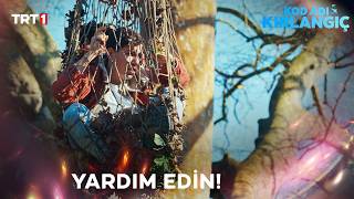 Şahin Ormanda Tuzağa Düşürüldü - Kod Adı Kırlangıç 81.