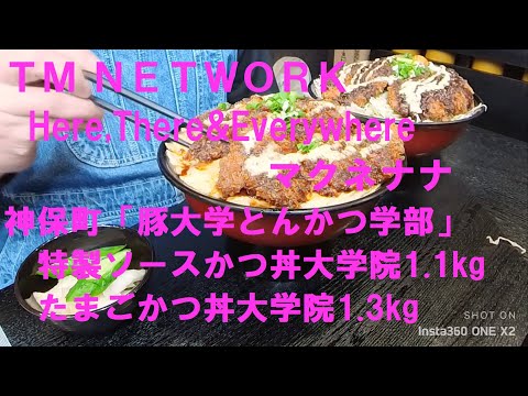マクネナナにＴＭ　ＮＥＴＷＯＲＫの「Here,There&Everywhere」を歌わせました。動画は、神保町の豚大学とんかつ学部で「特製ソースかつ丼大学院」と「たまごかつ丼大学院」を食べた時のです。