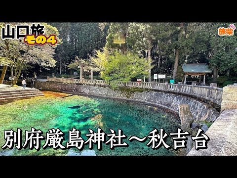 【キャンピングカーで柴犬と行く】山口旅④ 別府厳島神社～秋吉台