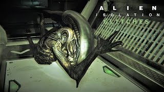 Alien Isolation [Glitches &amp; Trolling]: Stuck In The Floor