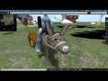 Donkey Ride