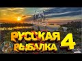 Супер Клёв на Ахтубе /Тестим Осетра/ Русская Рыбалка 4/Стрим Медведя