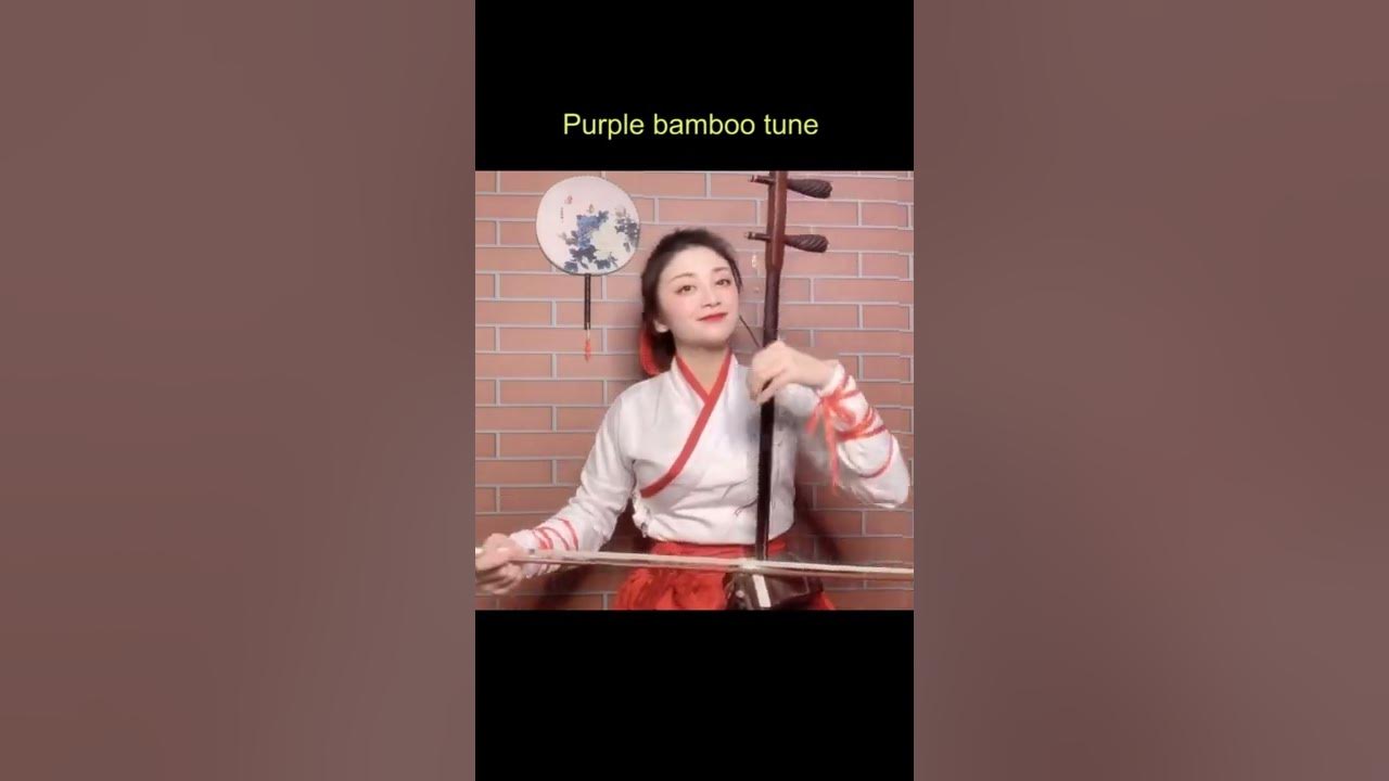 Erhu music 二胡音乐 Purple bamboo tune 【紫竹调】
