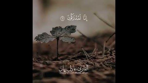 تلاوة خاشعة😥إبداع لاينتهي🤩 الشيخ عادل ريان #حالات_واتس_دينية / #الشيخ_عادل_ريان /#مقاطع_دينية_قصيرة