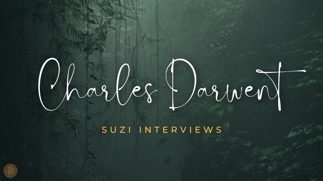 Charles Darwent on Suzi Feay's Book Bag